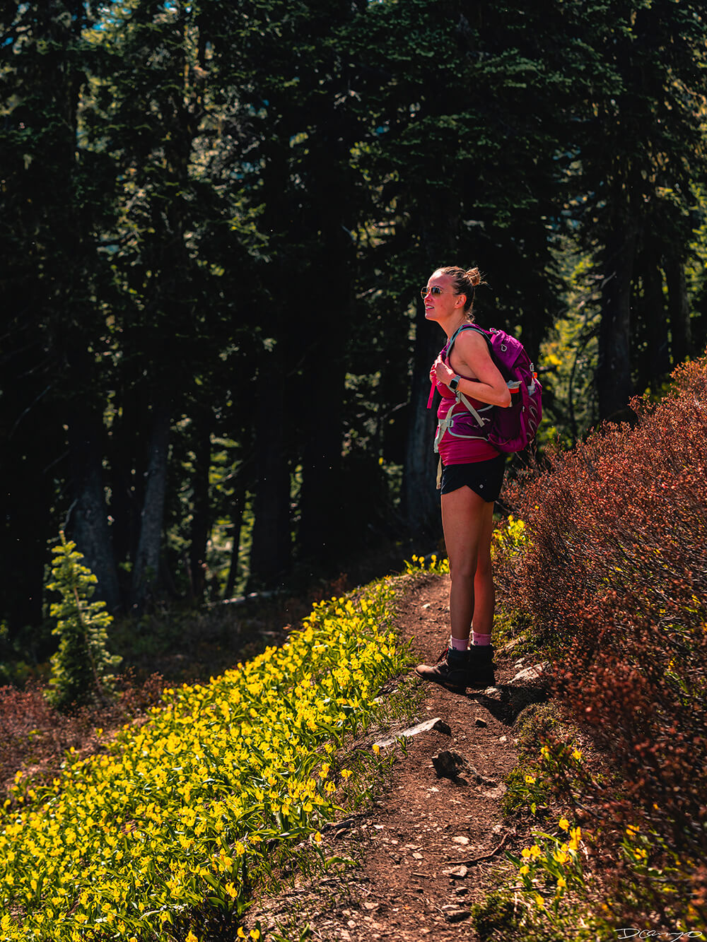 Landscape and portrait photos from a July 2020 trip to the North Cascades. Sourdough Mountain, Diablo Lake, Ross Lake and more.